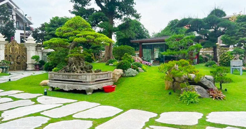 Tong hop nhung mau thiet ke san vuon dep nhat tai Hue