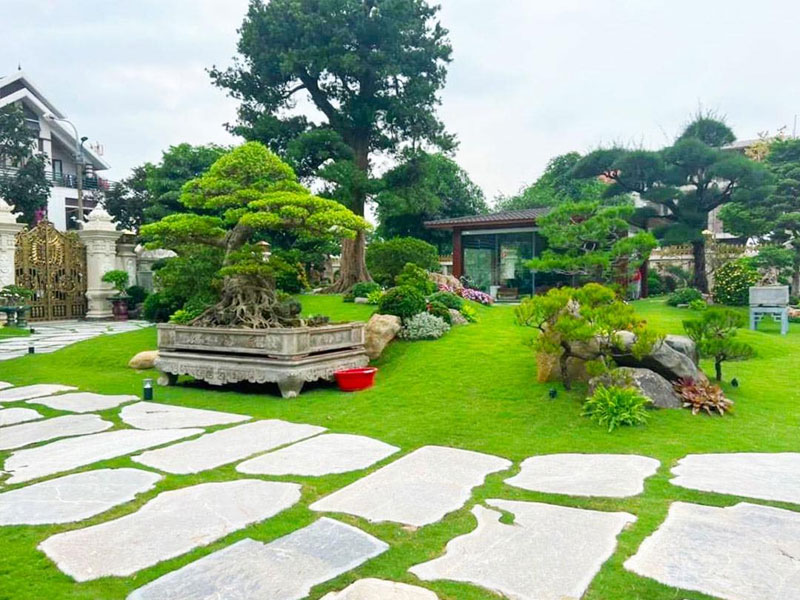 Tong hop nhung mau thiet ke san vuon dep nhat tai Hue
